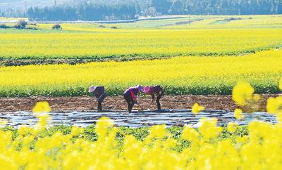 偏你来时正逢春,偏你来时正逢花