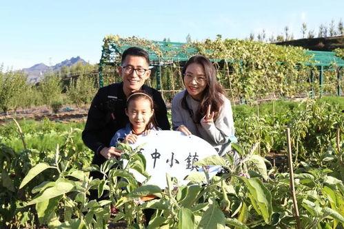 微笑的山谷,探寻微笑山谷的神秘魅力